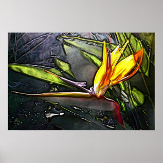 Early Bird Print Poster