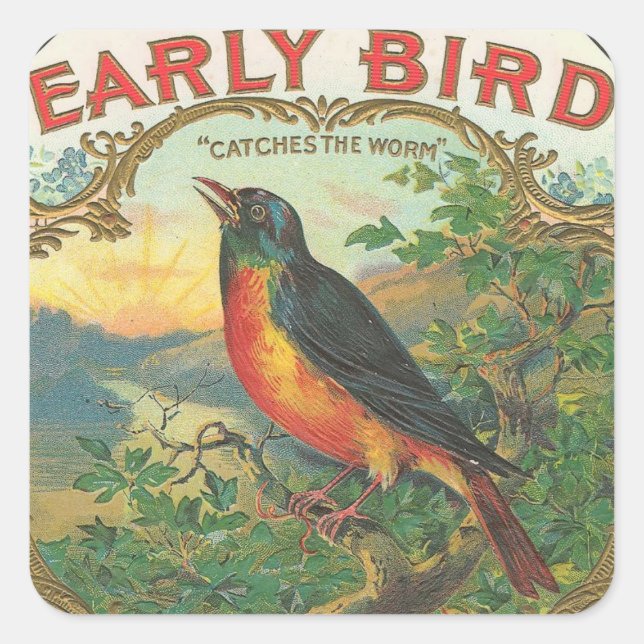 Early Bird Quadratischer Aufkleber (Vorderseite)