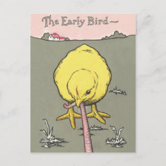 Early Bird Real Anwesen Prospektion Postkarte