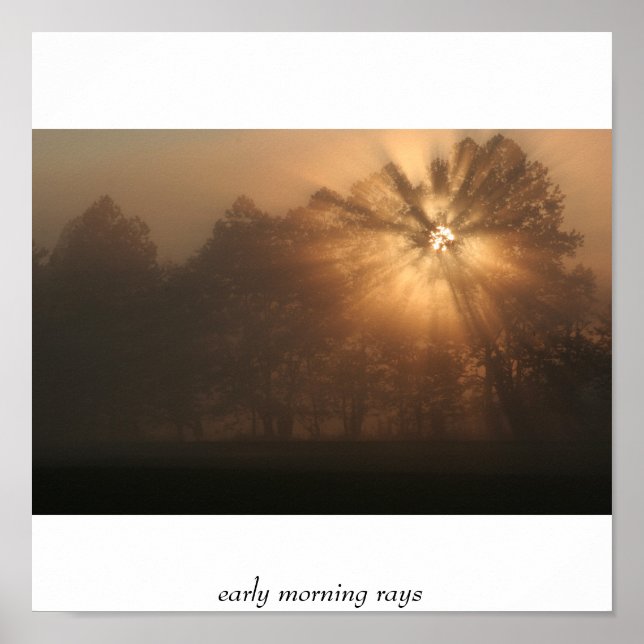 early morning rays poster (Vorne)