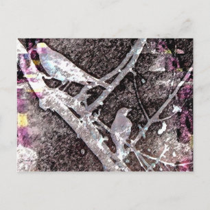 Early Robins Postcard Postkarte