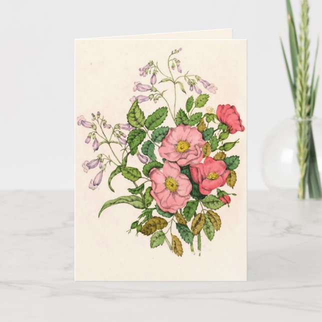 Early Wild Rose, Pentstèmon Beard-Tongue (1868) Dankeskarte (Vorderseite)