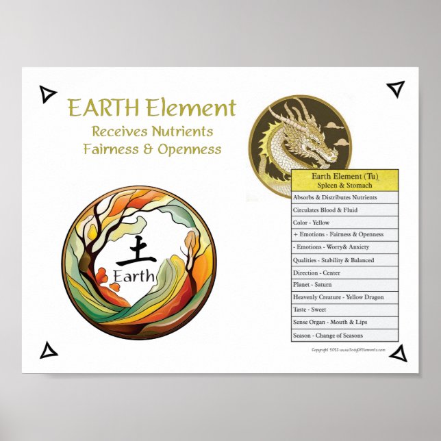 Earth Element Acupuncture Poster (Vorne)