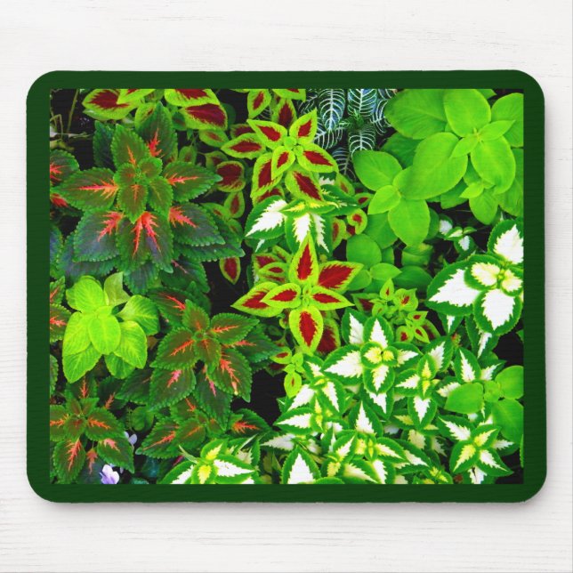 Earth Lover_ Mousepad (Vorne)