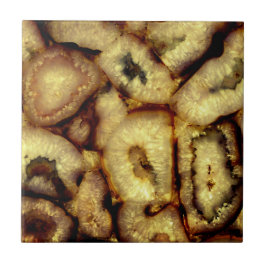 Earthen Green Quarz Agates Fliese