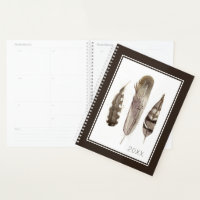 Earthtone Feathers II
