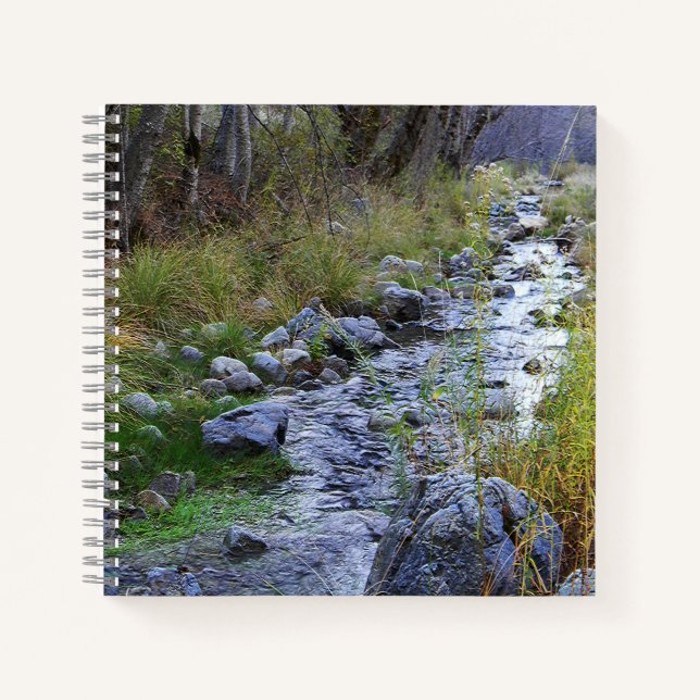 East Fork/Hayfork Bach...... Notizbuch (Vorderseite)