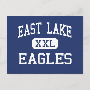 East Lake - Eagles - Hoch über dem See - Tarpon Sp Postkarte