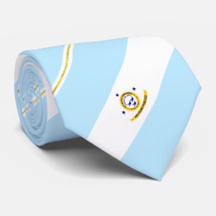 East Providence (Rhode Island) Stadtflagge Neck Ti Krawatte