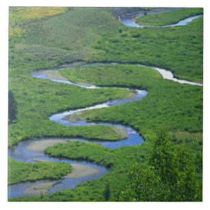East River nahe der Stadt Crested Butte. Fliese
