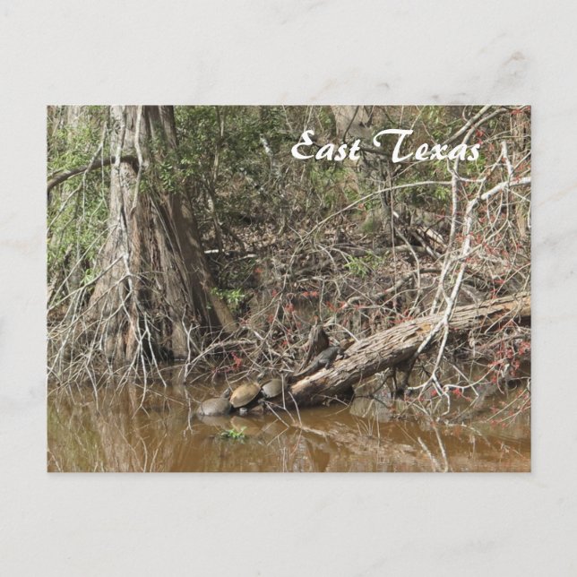 East Texas Postcard Postkarte (Vorderseite)