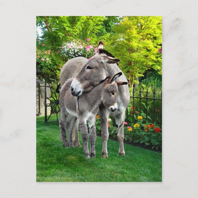 "Easter & Baby Eno" Postkarte (Vorderseite)