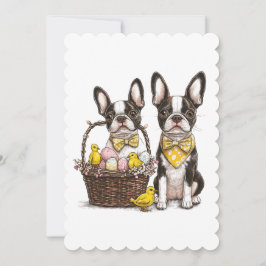 Easter Boston Terrier Dogs Feiertagskarte