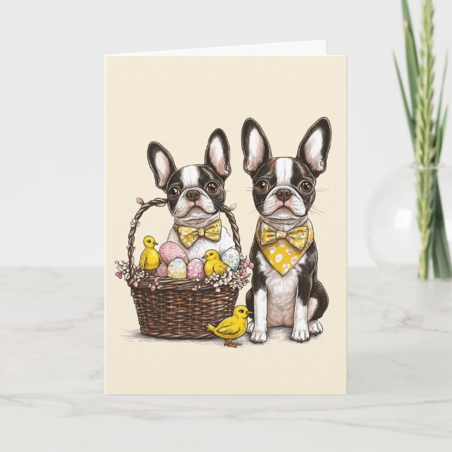 Easter Boston Terrier Dogs Karte (Vorderseite)