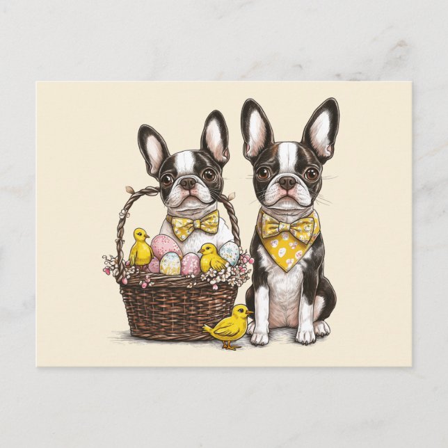 Easter Boston Terrier Dogs Postkarte (Vorderseite)