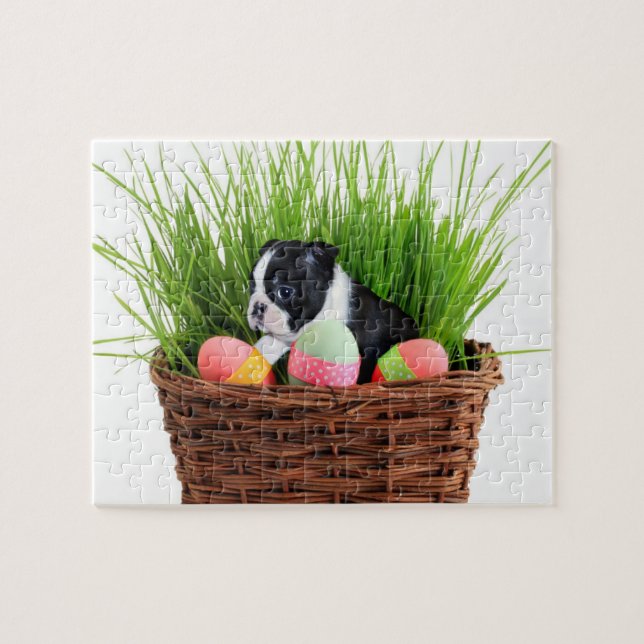 Easter Boston Terrier Hund (Horizontal)