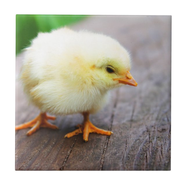 Easter Fliese (Vorderseite)