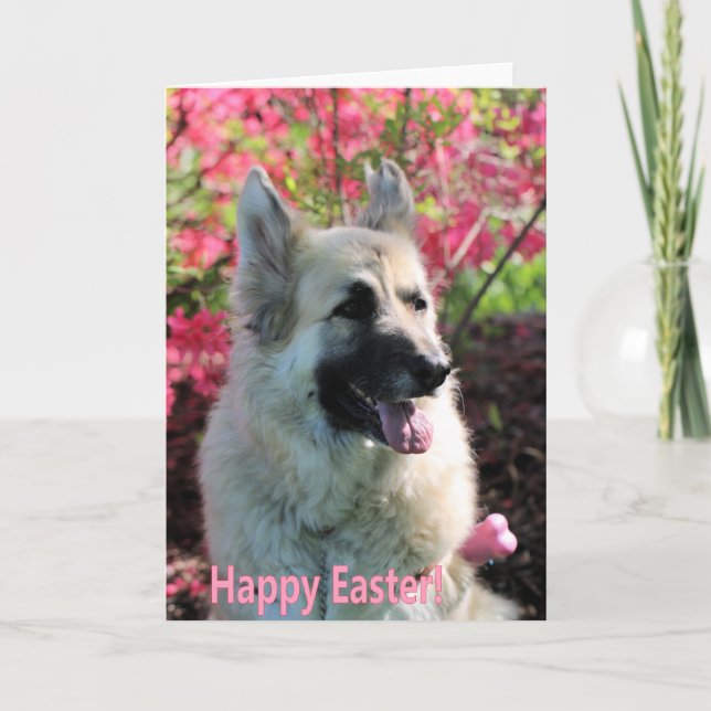 Easter GSD Feiertagskarte (Vorderseite)