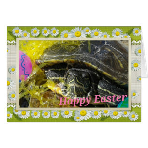Easter Turtle Flower Border Digital Art