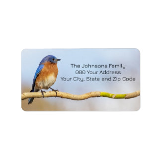 Eastern Bluebird Adressaufkleber