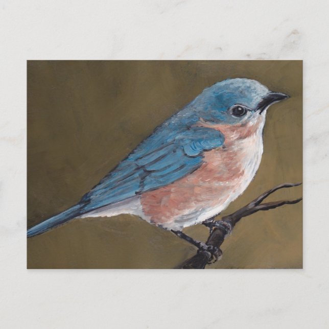 Eastern Bluebird Bird Art Postkarte (Vorderseite)