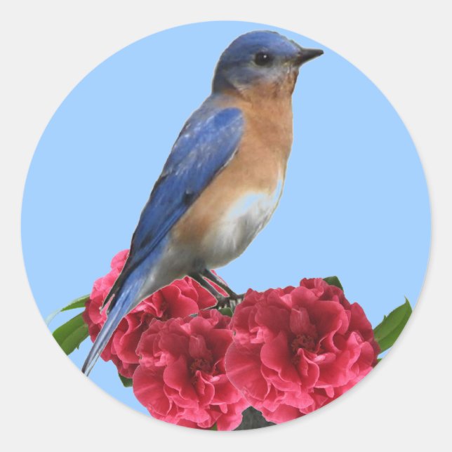 Eastern Bluebird Camellia Sticker (Vorderseite)