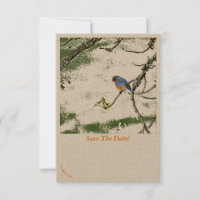 Eastern Bluebird/Champagne Gläser Save the Date ~
