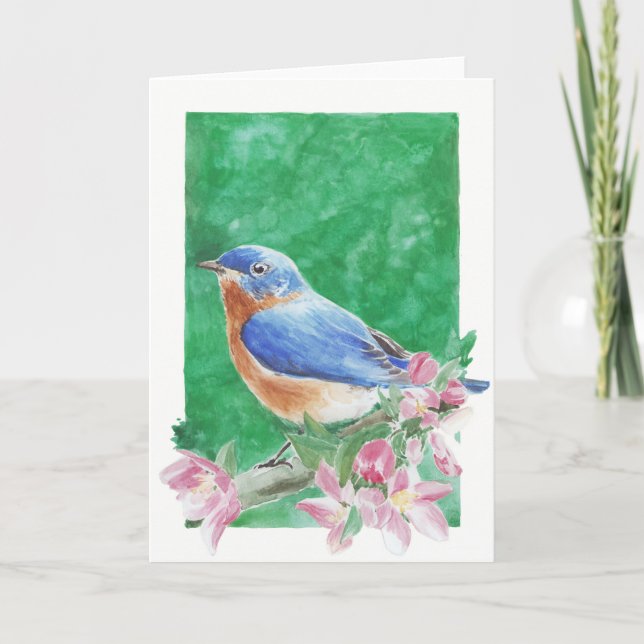 Eastern Bluebird Grußkarte Karte (Vorderseite)