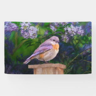 Eastern Bluebird in Snow - Original Foto Banner