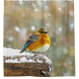 Eastern Bluebird in Snow - Original Foto Duschvorhang