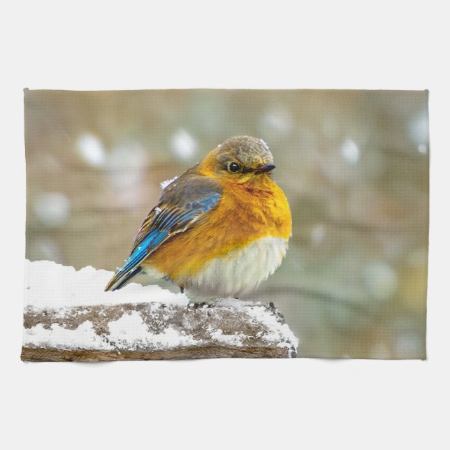 Eastern Bluebird in Snow - Original Foto Geschirrtuch (Horizontal)