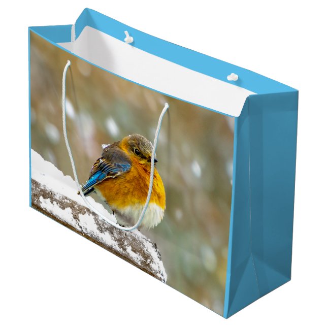Eastern Bluebird in Snow - Original Foto Große Geschenktüte (Vorderseite Schrägansicht)