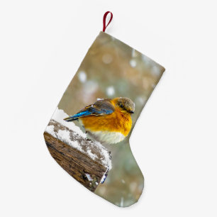 Eastern Bluebird in Snow - Original Foto Kleiner Weihnachtsstrumpf