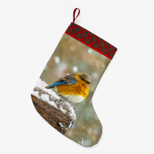 Eastern Bluebird in Snow - Original Foto Kleiner Weihnachtsstrumpf