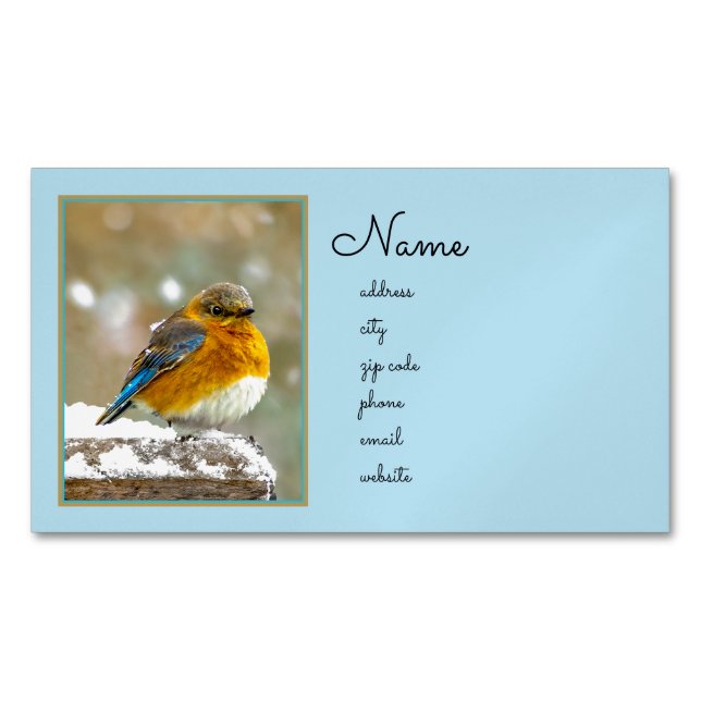 Eastern Bluebird in Snow - Original Foto Magnetische Visitenkarte (Vorderseite)