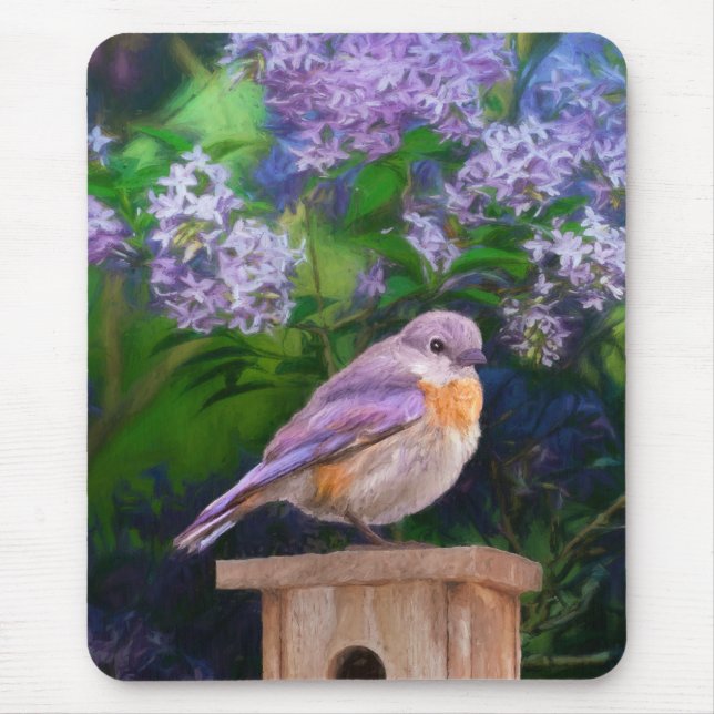 Eastern Bluebird in Snow - Original Foto Mousepad (Vorne)