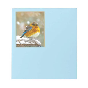 Eastern Bluebird in Snow - Original Foto Notizblock