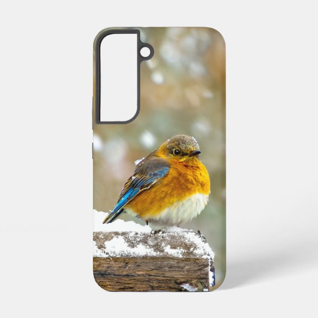 Eastern Bluebird in Snow - Original Foto Samsung Galaxy Hülle (Rückseite)