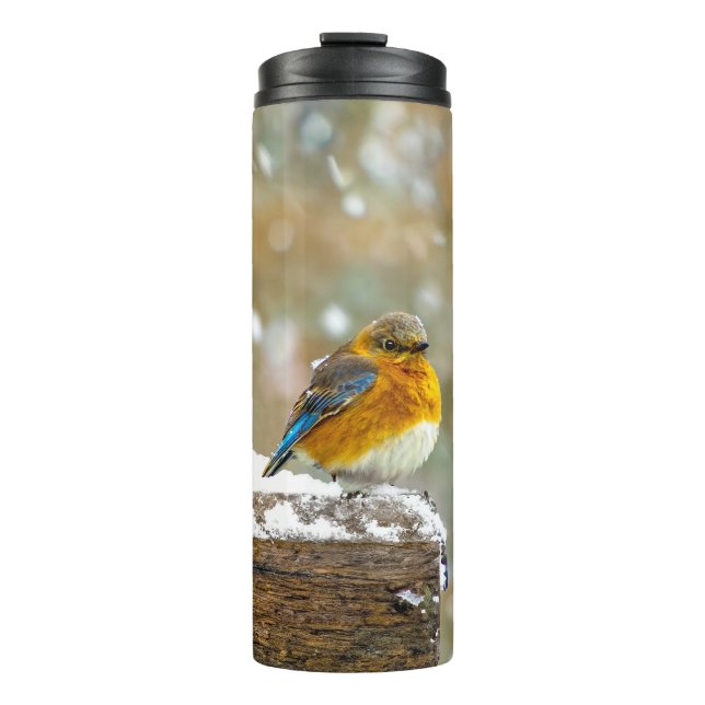 Eastern Bluebird in Snow - Original Foto Thermosbecher (Vorderseite)