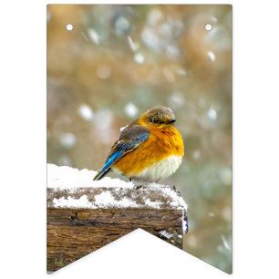 Eastern Bluebird in Snow - Original Foto Wimpelkette