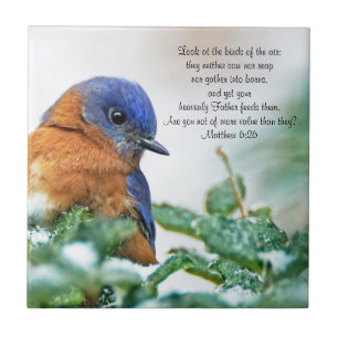 Eastern Bluebird Keramik Foto Tile Matthew 6:26 Fliese