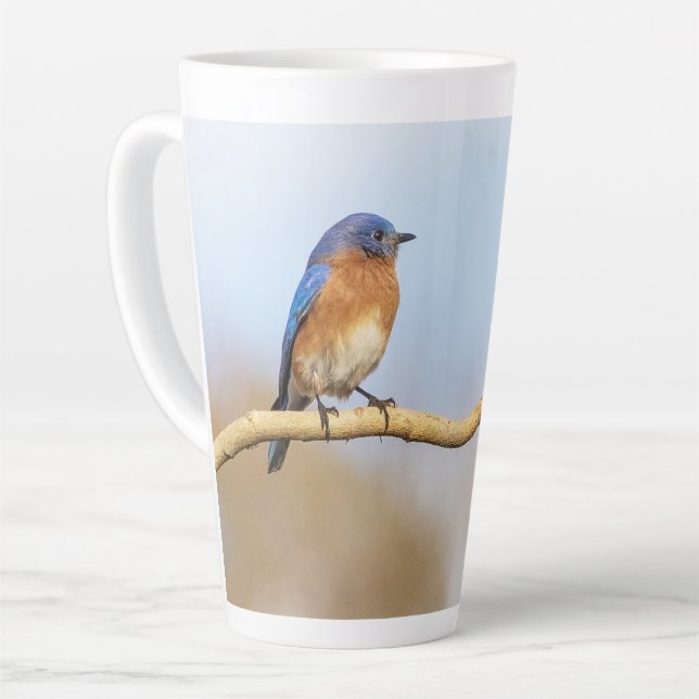 Eastern Bluebird Milchtasse (Linke Ecke)