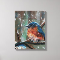 Eastern Bluebird Song Bird Winter Szene