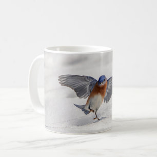 Eastern Bluebird tanzen im Schnee Kaffeetasse