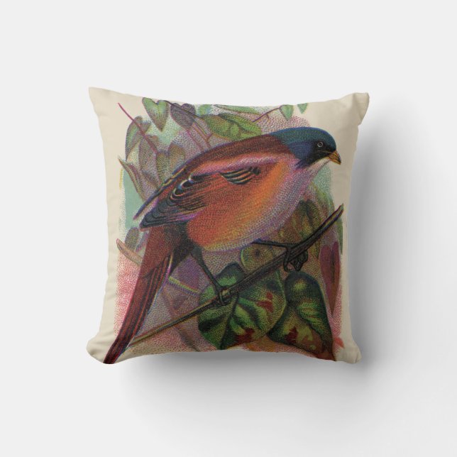 Eastern Bluebird Throw Kissen (Vorderseite)