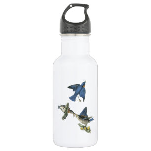 Eastern Bluebird von Audubon Edelstahlflasche