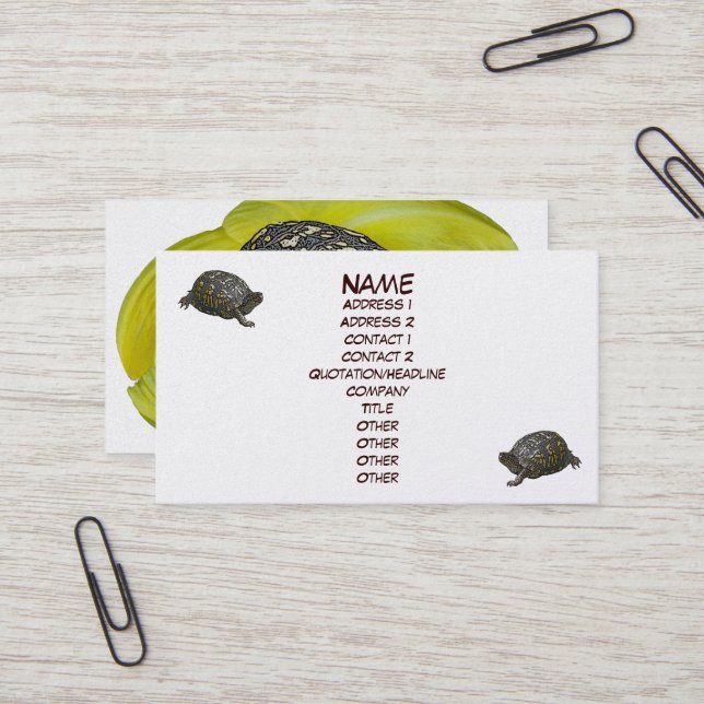 Eastern Box Turtle Business Card Visitenkarte (Vorderseite/Rückseite Beispiel)