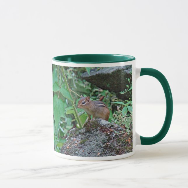 Eastern Chipmunk auf Rock Tasse (Rechts)