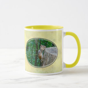 Eastern Chipmunk auf Stump Tasse