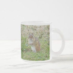 Eastern Chipmunk Mattglastasse